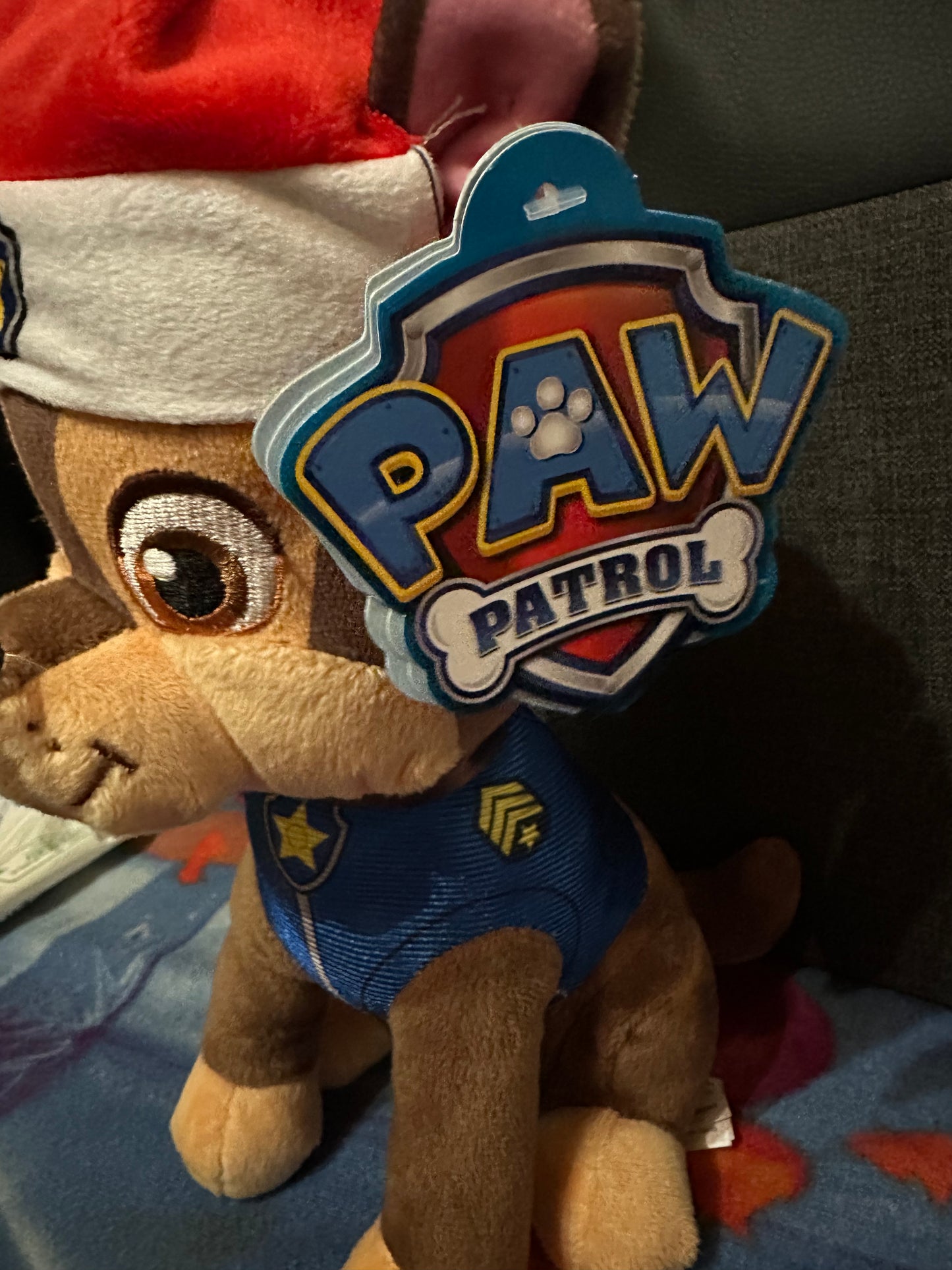 Peluche paw patrol