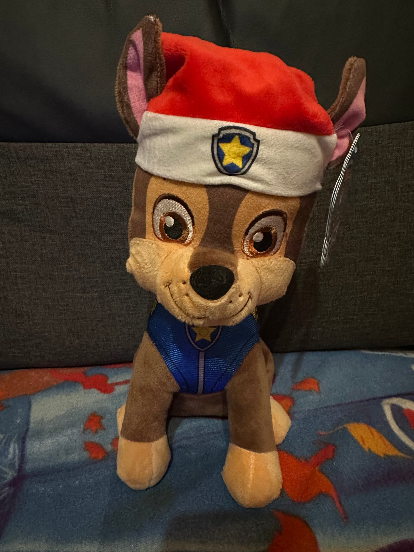 Peluche paw patrol