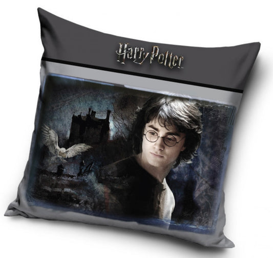 coussin harry potter