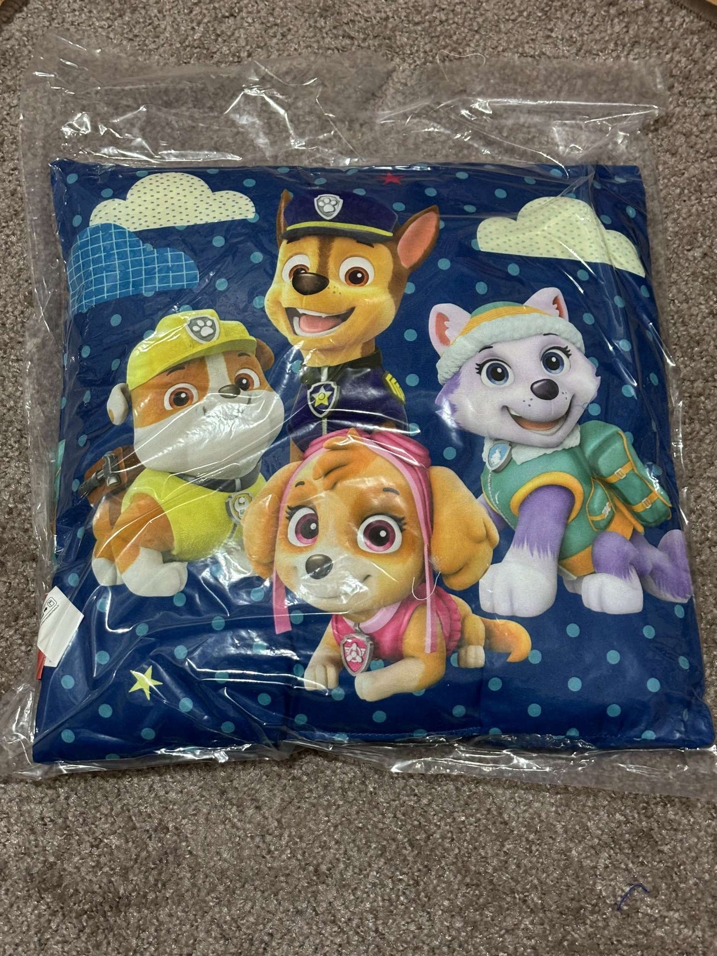 coussin paw patrol